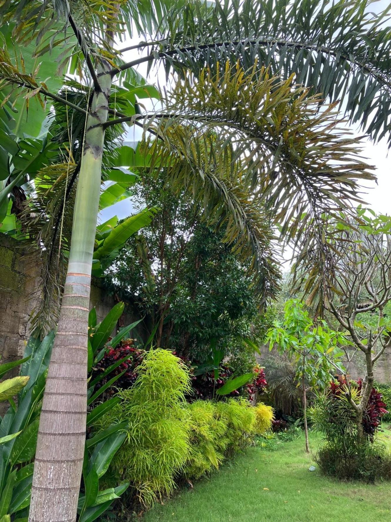 Kelana Villa Sidemen (Bali)