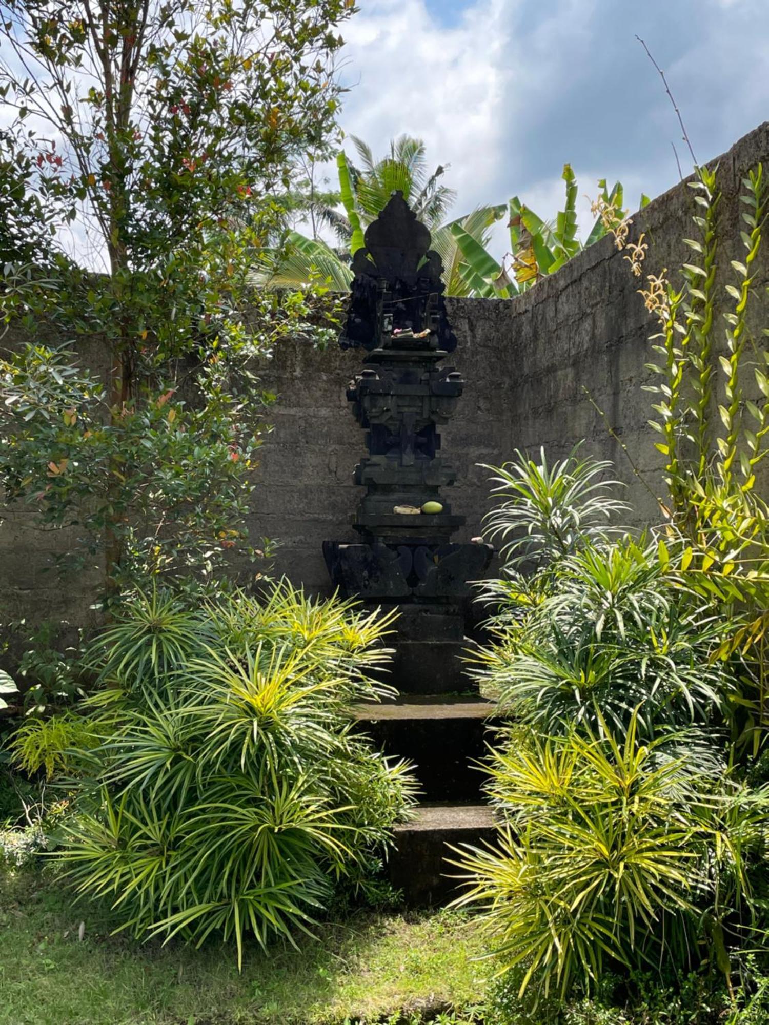 Kelana